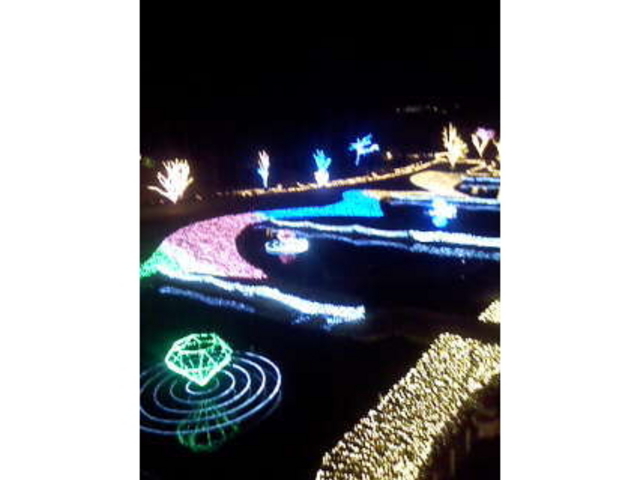 ���c�A���v�X���Â݂̌����@�x���E�䍂�n��