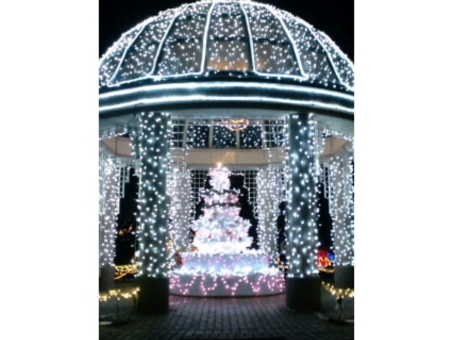 �t���[�����e�{��