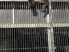 ݂񂮂݂₿搶̔g胂L[xCւ̓eʐ^1