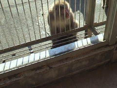 ݂񂮂݂₿搶̔g胂L[xCւ̓eʐ^1