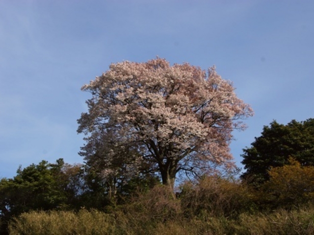 fumichanpapa����̕���R�Õ��̓��e�ʐ^1