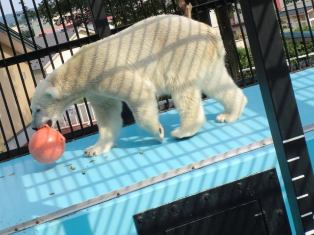 ���тЂ듮����