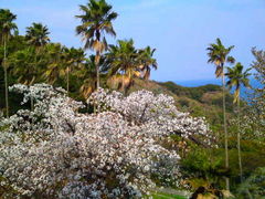 AL̒茧MѐAւ̓eʐ^1