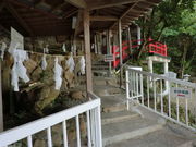 J񂳂̍c_Ёi_Ёj̓eʐ^1