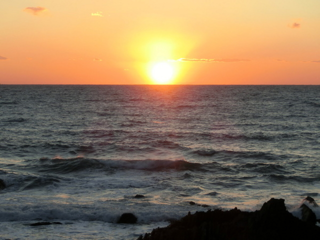 ܂񁙂񂳂̎˖̓eʐ^1