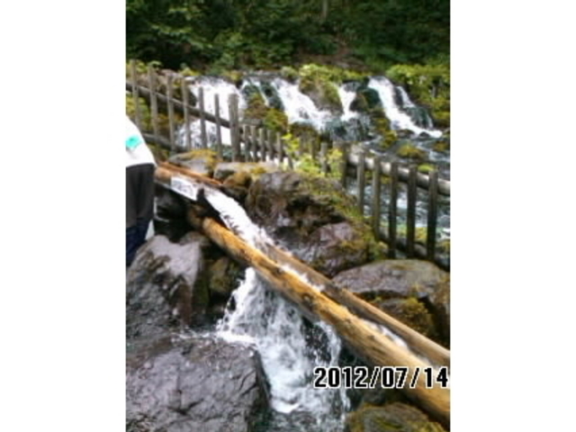 �ӂ���������