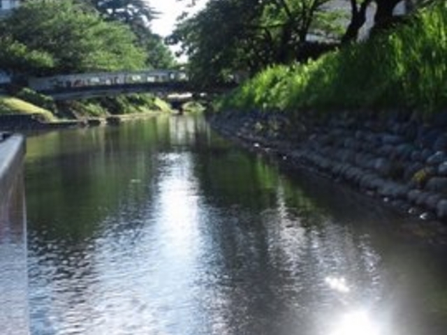 ����V���D