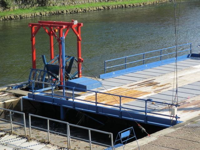 �T�P�̂ӂ邳�Ɛ�ΐ�����