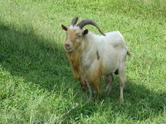 �ɍ��ۃO���[���q��̎ʐ^1