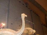 JXN[ȟQnRjق̓eʐ^1