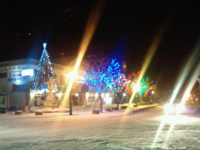 ��Ӓn���ό����Y�o�q�Z���^�[