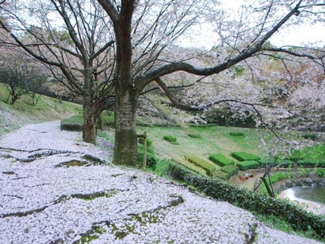 股̊ۋTsюR^̓eʐ^1