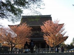 manekȋ{R@Rւ̓eʐ^1