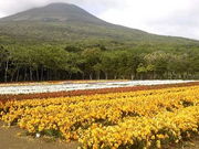 �N�}�̊Ǘ��l����̔��䓇�̃t���[�W�A�̓��e�ʐ^1