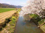 ̐߂(ߍ]aDόg)̓eʐ^1