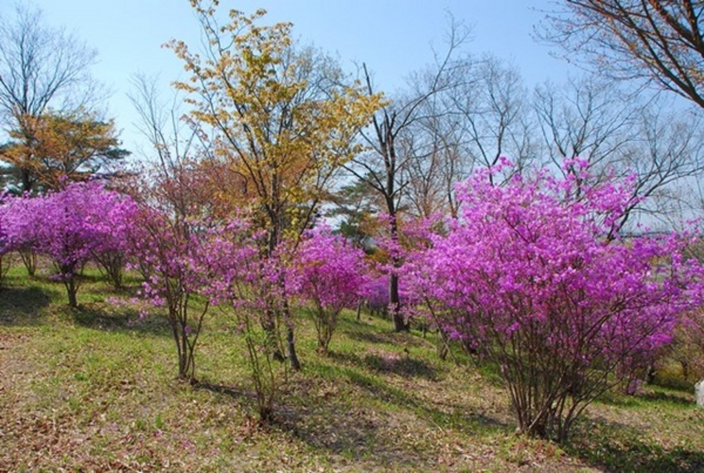 みとろフルーツパーク アクセス 営業時間 料金情報 じゃらんnet