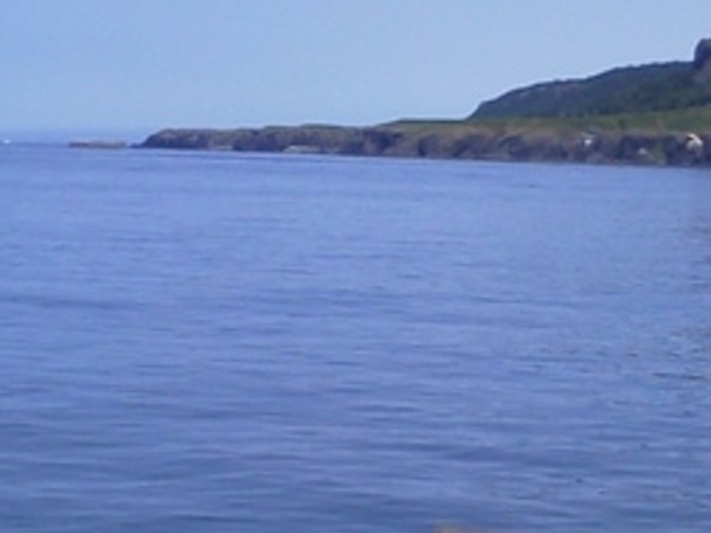 �m�����q�H