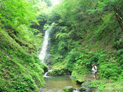 _ChKXg̖쎭̑̓eʐ^1