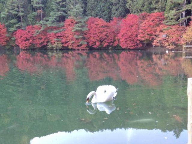 I[hEB̃GRpɓރ΂̓eʐ^1