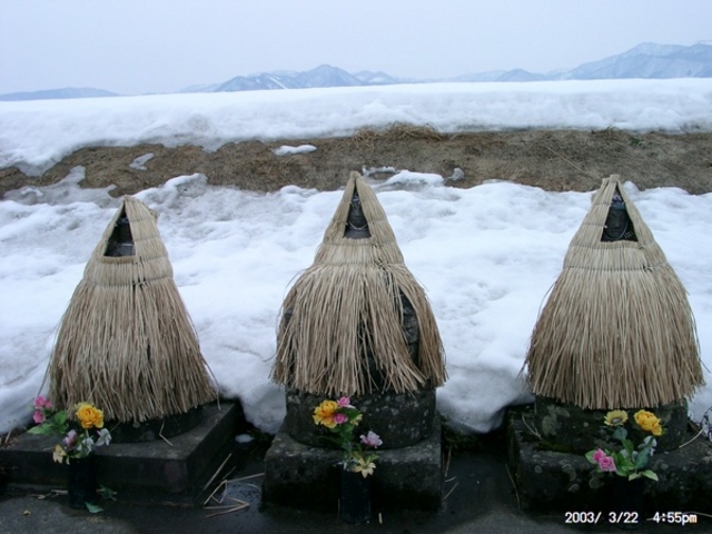 ���{���X(�L)