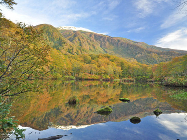 cocott̒ߊԒr̓eʐ^1