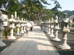 誕生寺 千葉県鴨川市 の写真一覧 じゃらんnet