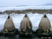 킩񂳂̉{X(L)̓eʐ^1