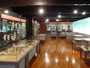 ǁ[̕ߐԂ񂪃p[N̓eʐ^1