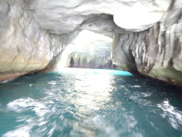 ���P�������߂���V���D