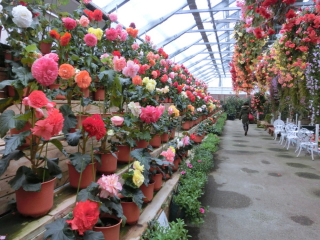 �����@�Ԃ��������