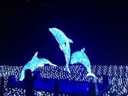 傤̉֎ŝفECق̓eʐ^1