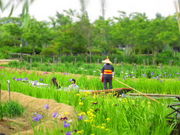 Ђ낳̐߃p[ÑAEԏҊE͂EXC̓eʐ^1