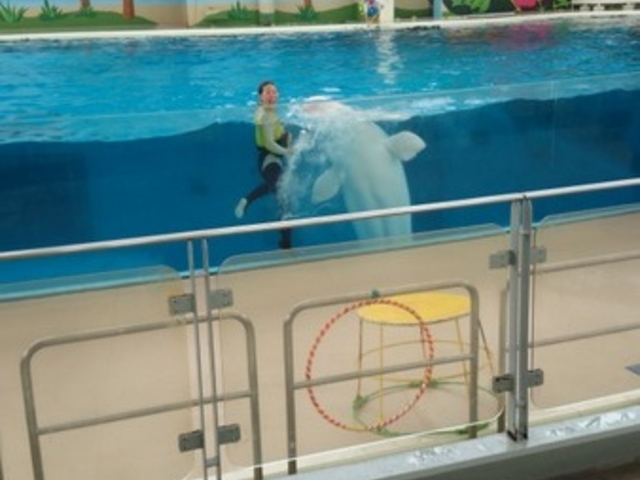 ���l�E���i���V�[�p���_�C�X