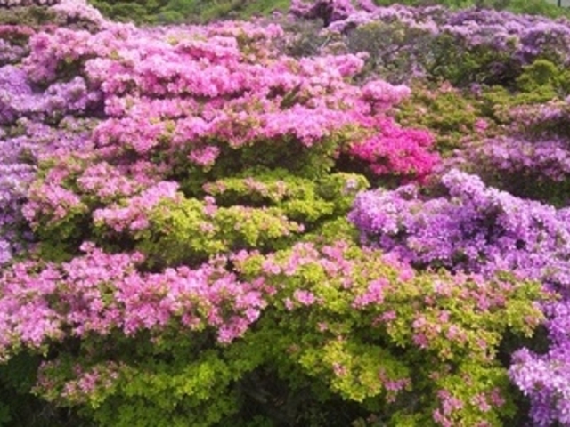 �m�c�����W�]��