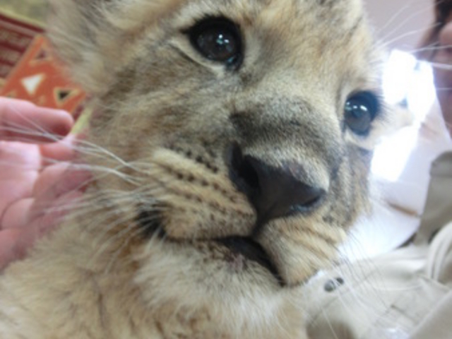 �x�m�T�t�@���p�[�N