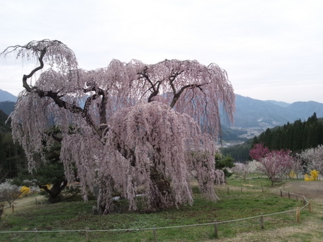 ݂Ԃٓ̕ṼV_UN̓eʐ^1