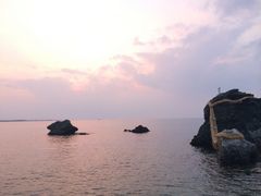 �v�w��̎ʐ^1