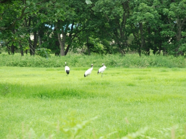 ���H�s�����W�]��