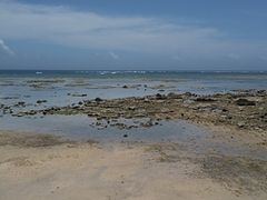 ܂邳̕lӂ̒ւ̓eʐ^1