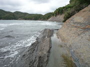 �E�b�L�[888����̖ԑ�̗����̓��e�ʐ^1