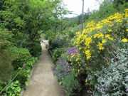 sazanami̒npق̓eʐ^1