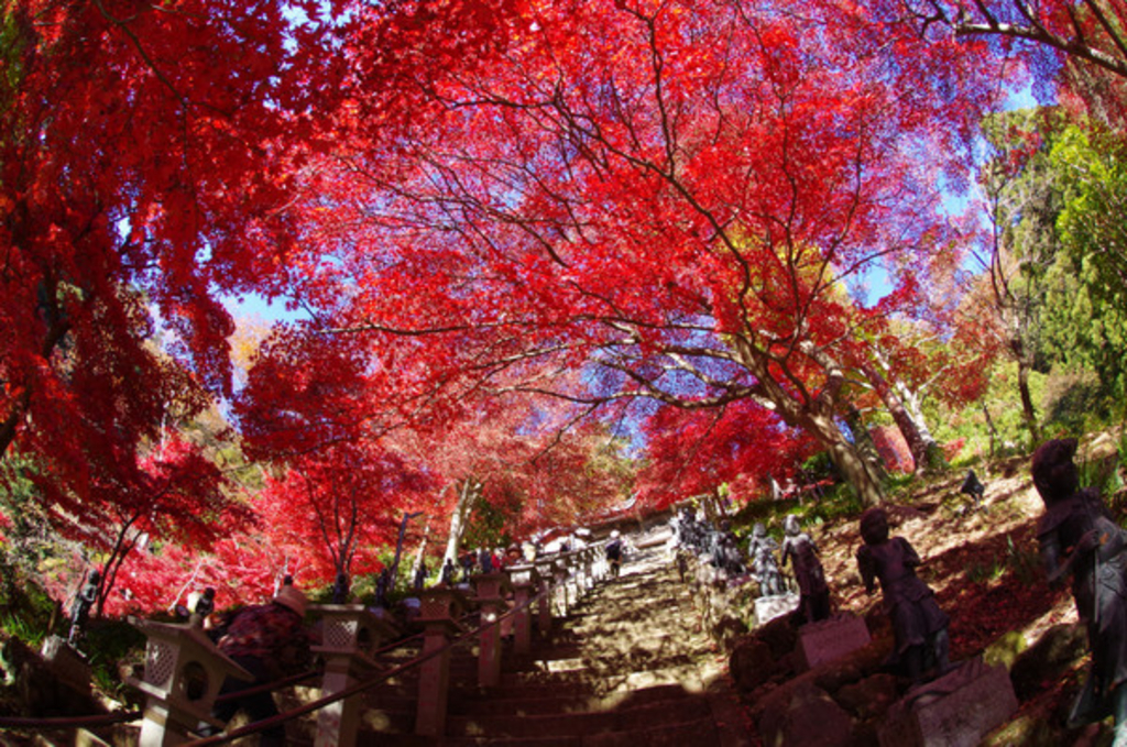 神奈川の自然景観 絶景ランキングtop10 じゃらんnet