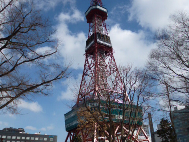 ���w�i�ɔ������I_�����ۂ�e���r��