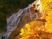 ܂ւ̔R싽zCg[h̓eʐ^1