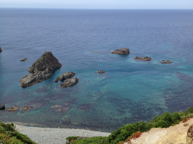 �܂�ł��̓����x�B�{���ɊC���Y��Ő�i�ł��I_�_�Ж�