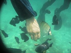 Ђ낳̈Ɍvr[`ւ̓eʐ^1