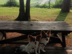 䂤䂿񂳂̓kԓT[rXGAijւ̓eʐ^1