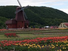 ���݂䂤�ׂ`���[���b�v�����̎ʐ^1