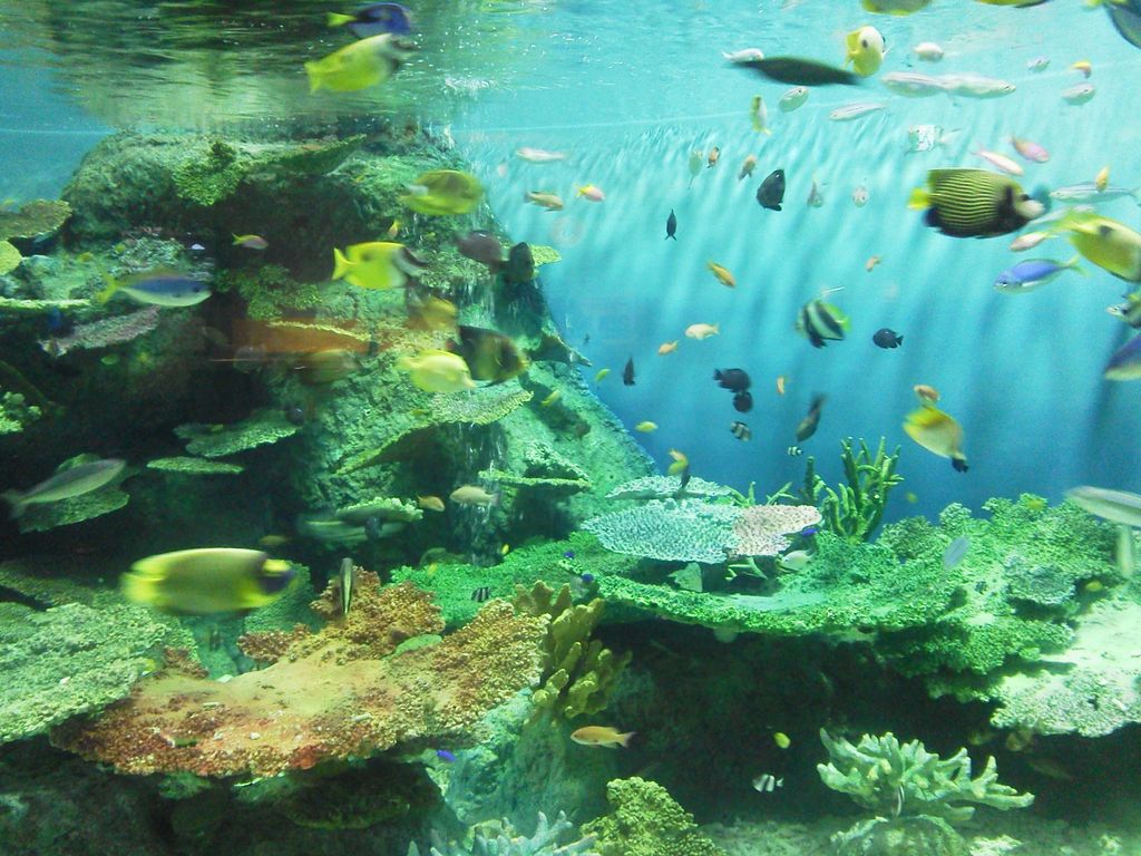 この夏カップルで行きたい 東京 おすすめデートスポット25選 定番から穴場まで じゃらんニュース