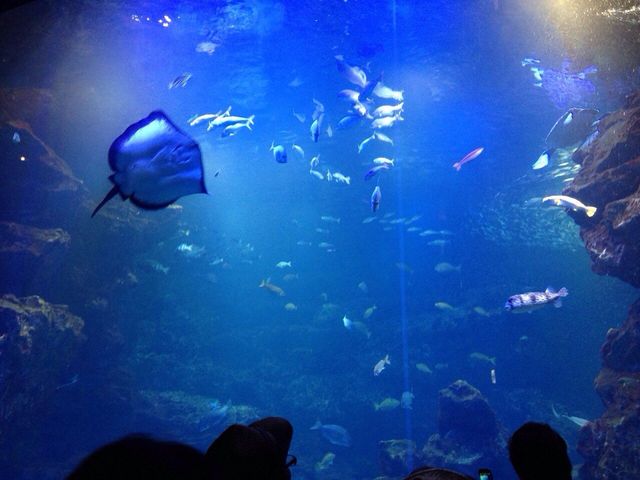 ���s������